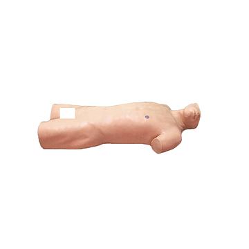 宸博 腹腔穿刺训练模型 CB/L261