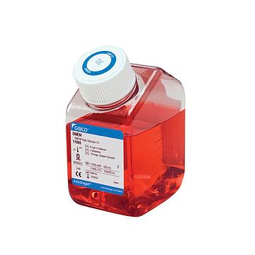 Gibco DMEM 高糖，含丙酮酸盐，500 mL C11995500BT
