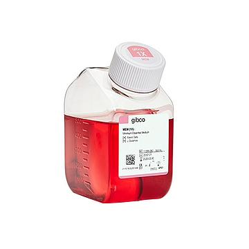 Gibco MEM 培养基 500ml 11095080