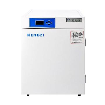 恒字 电热恒温培养箱 HDPF-55