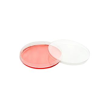 NUNC 培养皿NunclonTM△带盖透气 60mm（10个/包 28包/箱） 150462