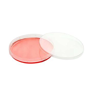NUNC 培养皿带盖透气 100mm（10个/包 15包/箱） 150464