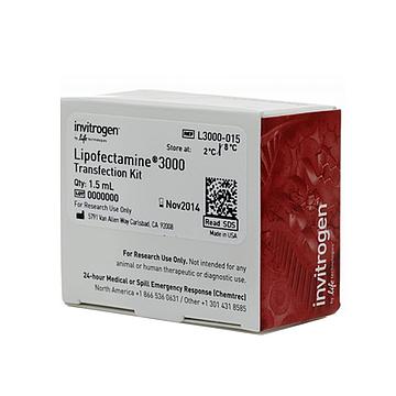 Invitrogen Lipofectamine 3000 转染试剂 1.5mL L3000015