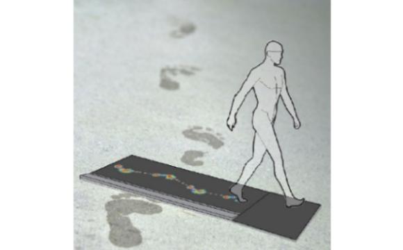 BTS P-WALK 步态足压测试系统